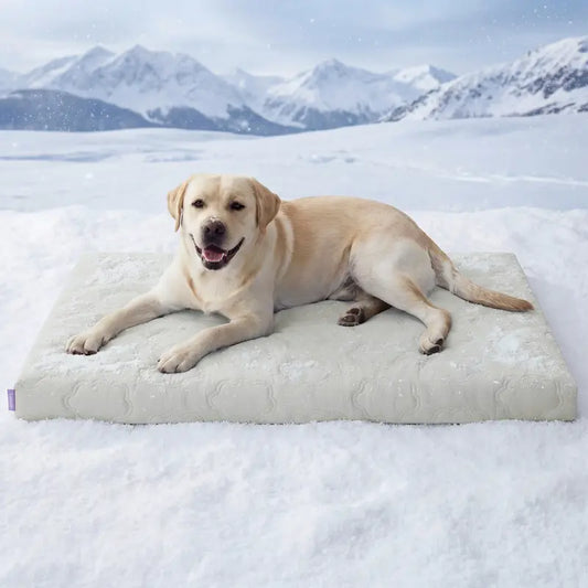 Cooling Mat for Dogs | Washable Pet Cooling Mat